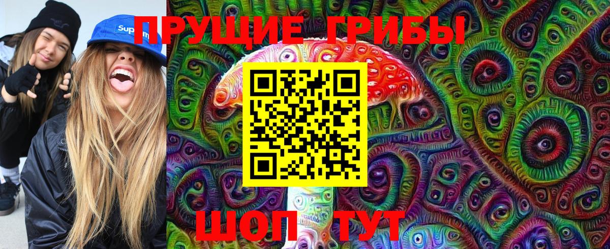 Нижний Тагил  Псилоцибиновые грибы Psilocybine cubensis  Вход с VPN 