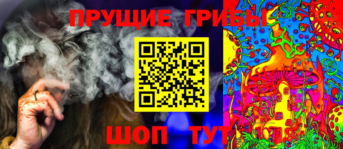 Псилоцибиновые грибы Psilocybine cubensis Нижний Тагил